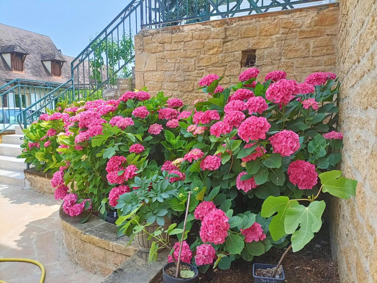 La Villa Perigourdine Sarlat-la-Canéda Dış mekan fotoğraf